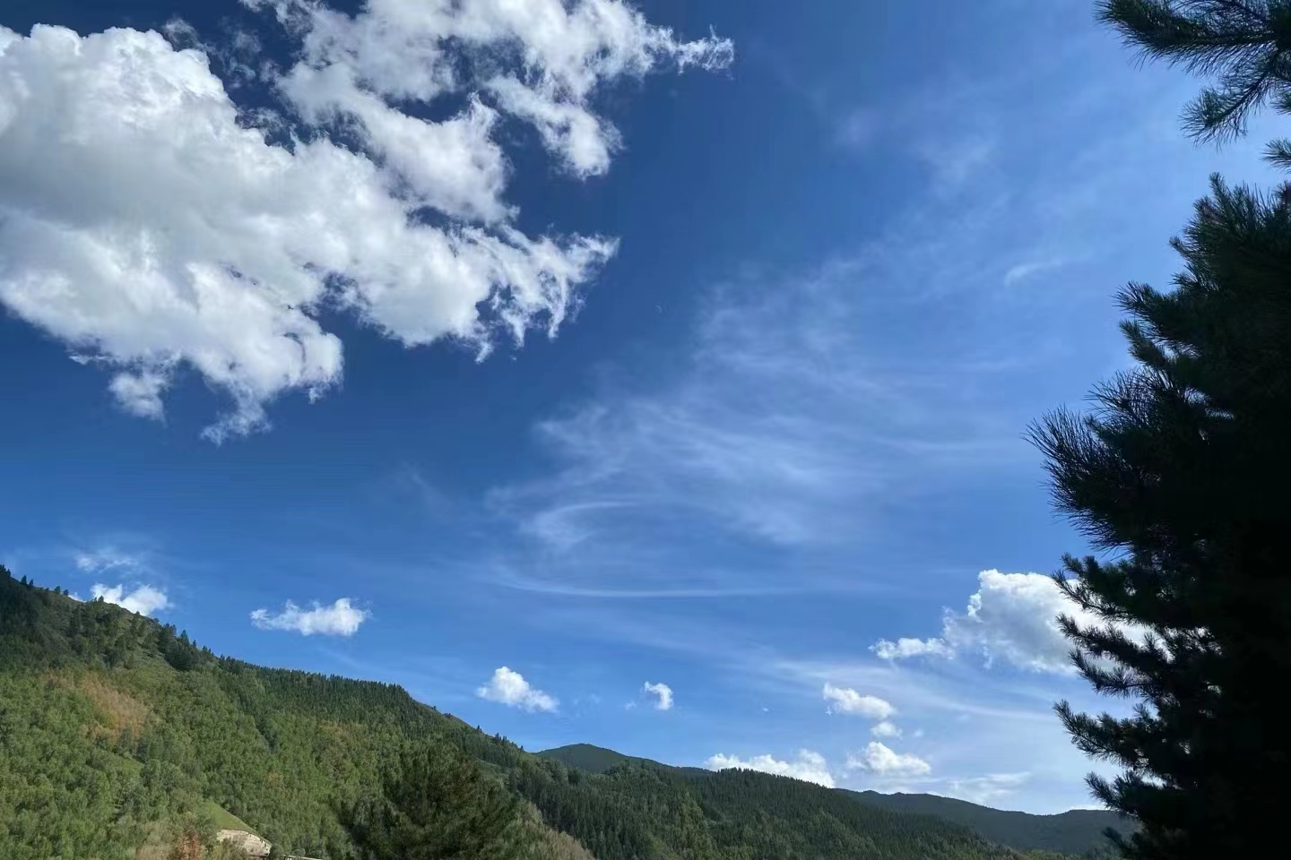 1692862871255059.jpg 2fb6f60eed67dc192238fa2999cba98.jpg